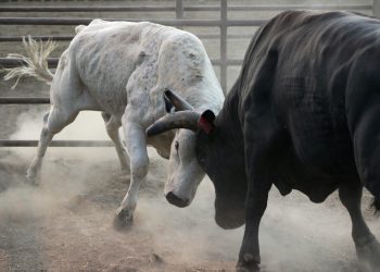 Ethereum is Beginning to Look “Perfect” as Sellers Show Signs of Exhaustion