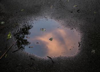 Winklevoss Twins Double Down on $500,000 Bitcoin Call