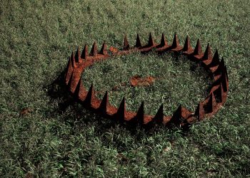 Bear Trap: TD 9 Sell Triggers As Bulls Push Bitcoin Higher