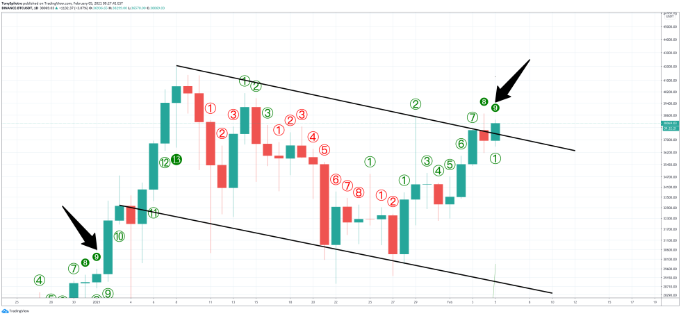 bitcoin bear trap td 9