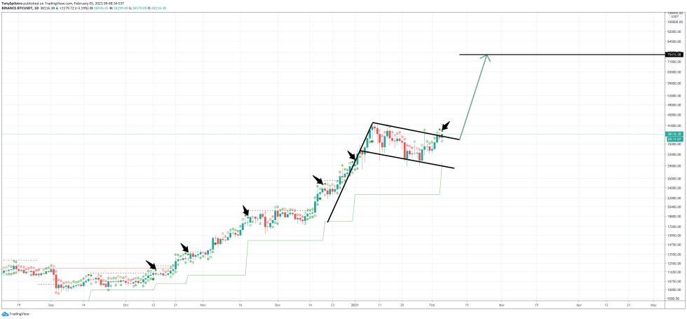 bitcoin bear trap td 9