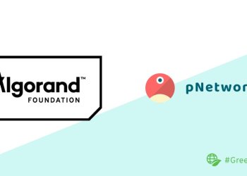 Algorand Partners With pNetwork To Build Cross-Chain Bridges