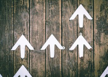 Arrows going up, like Bitcoin's price