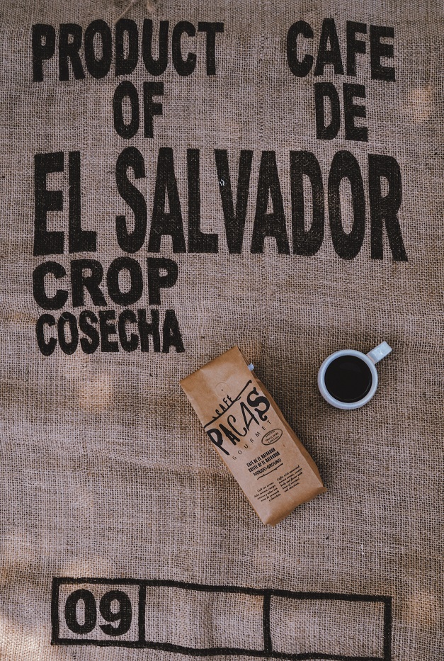 Brock Pierce in El Salvador