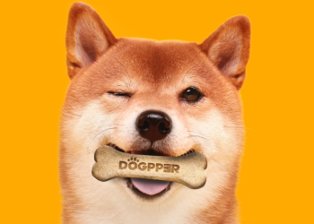 Dogecoin DOGE