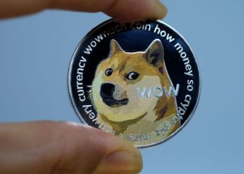 Picture of a hand holding a dogecoin, as elon musk confirms holding bitcoin and ethereum also