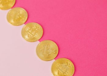 Bitcoin Elon Musk Tesla