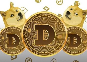 Picture of three dogecoins with two Shiba Inu dogs behind them
