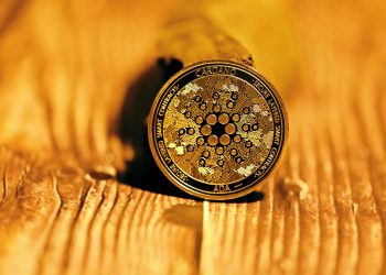 Up-And-Coming Cardano Summit Promises An Epic Virtual World Experience