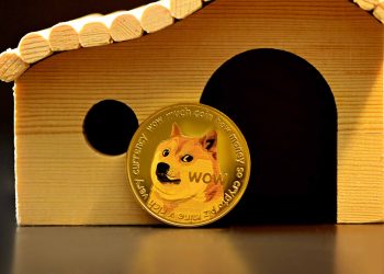 Dogecoin DOGE