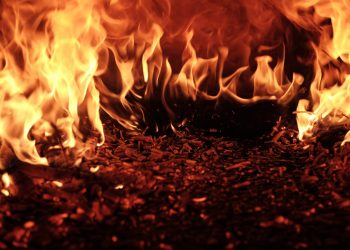 OpenSea Under Fire After Admitting Employee “Insider Trading” On NFTs