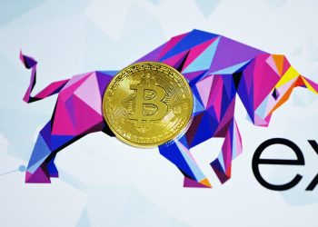Bitcoin bull