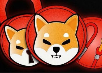 Picture of two Shiba Inu (SHIB) tokens