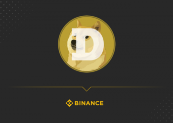 picture of a Dogecoin with Binance written below it