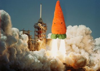 Taproot, a carrot rocket taking off
