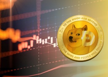 Picture of a Dogecoin next to a market chart
