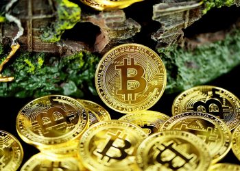 Bitcoin Transaction Fees