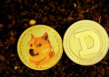 Doge Elon Musk Binance CZ