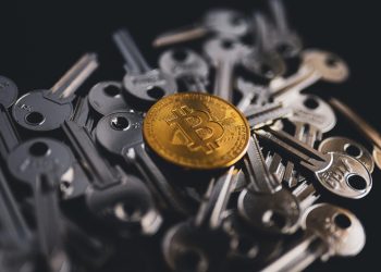 Bitcoin Daily Miner Revenue Rises To $60 Million As Fees Go Up