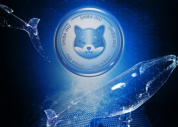 Picture of a Shiba Inu coin with whales swimming around it