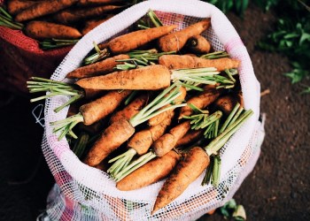 Taproot, a sack of carrots