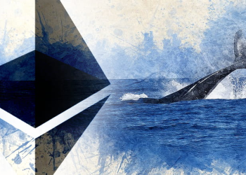 Ethereum whales