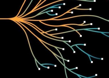 Taro, image from the press release