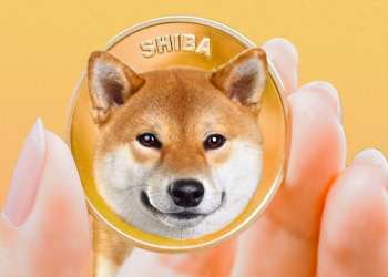 shiba inu