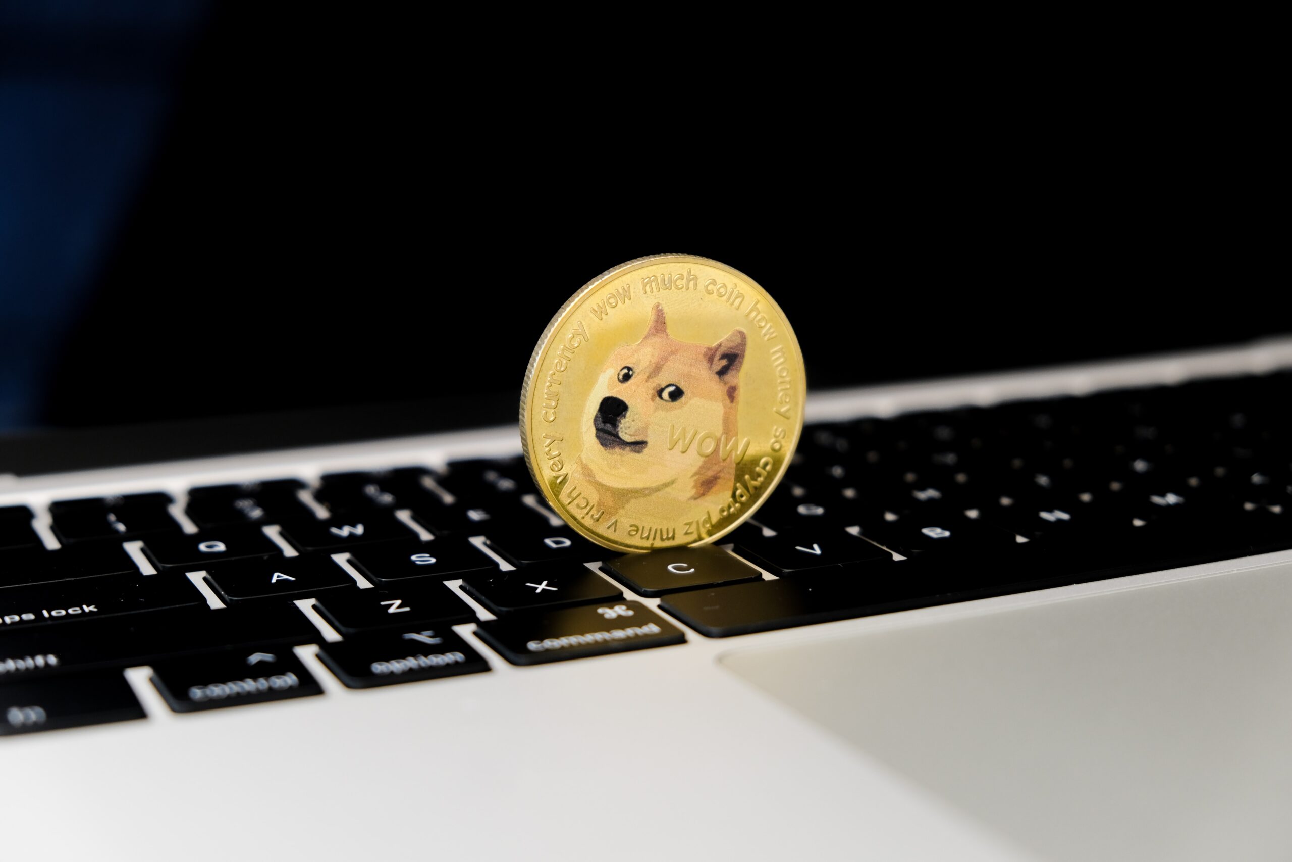 Dogecoin And Shiba Inu