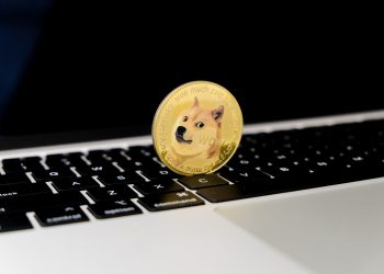 Dogecoin And Shiba Inu
