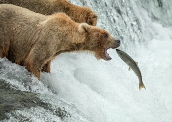 Bitcoin Miners Continue To Sell As Outflows Spike Again