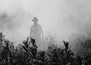 Adyingnobody, a mysterious figure moving through a field