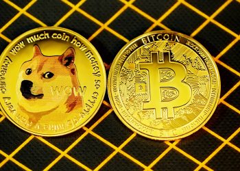 Dogecoin And Bitcoin Chipotle