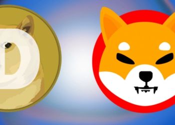 Shiba Inu and Dogecoin