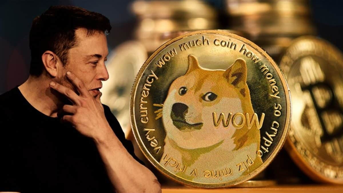 dogecoin elon musk