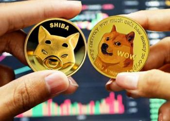 SHIB And DOGE On Cardano Network? Here’s Why You Should Be Careful