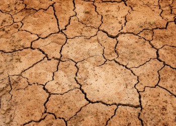 OpenSea volumes are drying up compared to the past year of activity.