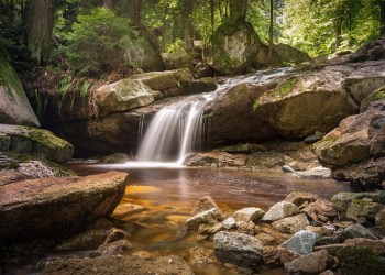 River Financial, a river in the woods