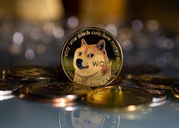 Dogecoin holders