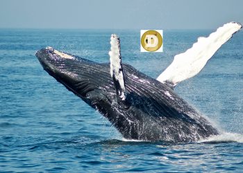 Dogecoin whale address