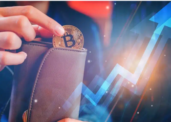 New record: 49% of Bitcoin Supply Has Not Changed Hands in 2 Years