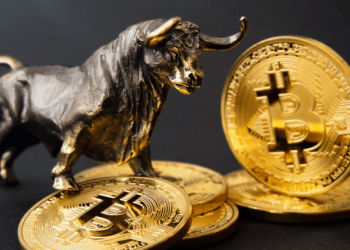 bitcoin bull