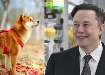 Elon Musk Dogecoin Shiba Inu Floki