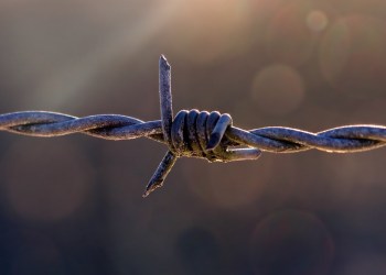 Paxos Faces Scrutiny From New York Regulators As They Gear Up To Protect Consumers