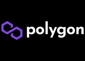 Polygon (MATIC) Tops List Among ETH Whales Ahead Of The zkEVM Launch