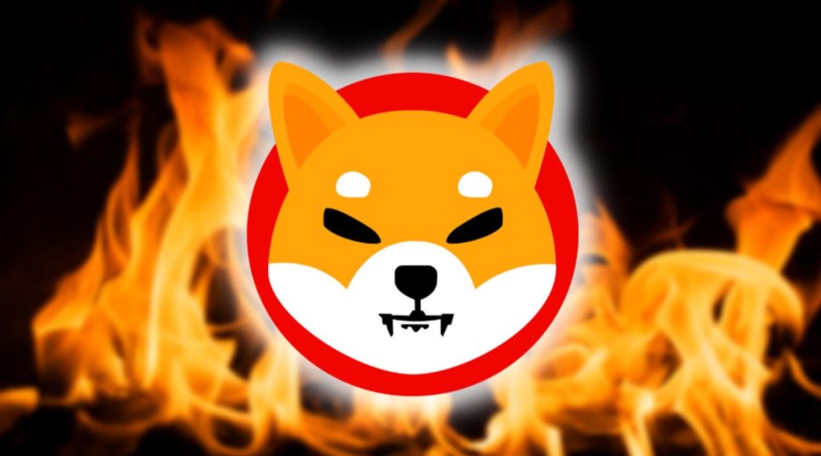Shiba Inu SHIB burns by Koyo