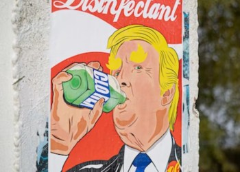 Crypto Donald Trump