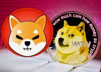 Dogecoin and Shiba Inu