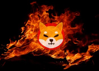 Shiba Inu burn