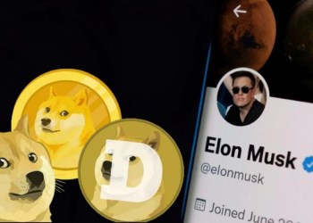 Dogecoin Elon Musk